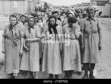 Jüdische Frauen aus Ungarn, die für Zwangsarbeit in Auschwitz ausgewählt wurden, marschieren nach der Desinfektion und Kopfrasur in ihre Kaserne. Die Juden in Ungarn waren ziemlich sicher, bis Hitler aus Angst, Ungarn würde einen Vertrag mit den Alliierten suchen, die Invasion des Landes im März 1944 anordnete. Zwischen dem 15. Mai und dem 9. Juli 1944 wurden über 434.000 Juden mit 147 Zügen deportiert, die meisten nach Auschwitz, wo etwa 80 Prozent bei der Ankunft vergast wurden. Der schnelle Fortschritt der Deportationen wurde durch die enge Zusammenarbeit zwischen den ungarischen und deutschen Behörden ermöglicht. Stockfoto