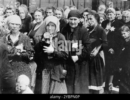 Jüdische Frauen und Kinder aus Ungarn warten auf Auswahl auf der Rampe Auschwitz-Birkenau. Die Juden in Ungarn waren ziemlich sicher, bis Hitler aus Angst, Ungarn würde einen Vertrag mit den Alliierten suchen, die Invasion des Landes im März 1944 anordnete. Zwischen dem 15. Mai und dem 9. Juli 1944 wurden über 434.000 Juden mit 147 Zügen deportiert, die meisten nach Auschwitz, wo etwa 80 Prozent bei der Ankunft vergast wurden. Der schnelle Fortschritt der Deportationen wurde durch die enge Zusammenarbeit zwischen den ungarischen und deutschen Behörden ermöglicht. Stockfoto