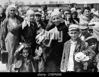 Jüdische Frauen und Kinder aus Ungarn warten auf die Auswahl auf der Rampe in Auschwitz. Die Juden in Ungarn waren ziemlich sicher, bis Hitler aus Angst, Ungarn würde einen Vertrag mit den Alliierten suchen, die Invasion des Landes im März 1944 anordnete. Zwischen dem 15. Mai und dem 9. Juli 1944 wurden über 434.000 Juden mit 147 Zügen deportiert, die meisten nach Auschwitz, wo etwa 80 Prozent bei der Ankunft vergast wurden. Der schnelle Fortschritt der Deportationen wurde durch die enge Zusammenarbeit zwischen den ungarischen und deutschen Behörden ermöglicht. Stockfoto