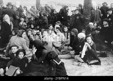 Juden aus Ungarn, die in Auschwitz zum Tode ausgewählt wurden, warten darauf, in die Gaskammern gebracht zu werden. Die Juden in Ungarn waren ziemlich sicher, bis Hitler aus Angst, Ungarn würde einen Vertrag mit den Alliierten suchen, die Invasion des Landes im März 1944 anordnete. Zwischen dem 15. Mai und dem 9. Juli 1944 wurden über 434.000 Juden mit 147 Zügen deportiert, die meisten nach Auschwitz, wo etwa 80 Prozent bei der Ankunft vergast wurden. Der schnelle Fortschritt der Deportationen wurde durch die enge Zusammenarbeit zwischen den ungarischen und deutschen Behörden ermöglicht. Stockfoto