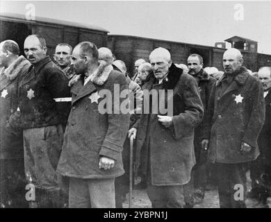 Ungarische Juden warten auf die Auswahl auf der Rampe in Auschwitz. Die Juden in Ungarn waren ziemlich sicher, bis Hitler aus Angst, Ungarn würde einen Vertrag mit den Alliierten suchen, die Invasion des Landes im März 1944 anordnete. Zwischen dem 15. Mai und dem 9. Juli 1944 wurden über 434.000 Juden mit 147 Zügen deportiert, die meisten nach Auschwitz, wo etwa 80 Prozent bei der Ankunft vergast wurden. Der schnelle Fortschritt der Deportationen wurde durch die enge Zusammenarbeit zwischen den ungarischen und deutschen Behörden ermöglicht. Stockfoto