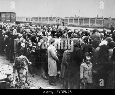 Ungarische Juden warten auf die Auswahl auf der Rampe in Auschwitz. Die Juden in Ungarn waren ziemlich sicher, bis Hitler aus Angst, Ungarn würde einen Vertrag mit den Alliierten suchen, die Invasion des Landes im März 1944 anordnete. Zwischen dem 15. Mai und dem 9. Juli 1944 wurden über 434.000 Juden mit 147 Zügen deportiert, die meisten nach Auschwitz, wo etwa 80 Prozent bei der Ankunft vergast wurden. Der schnelle Fortschritt der Deportationen wurde durch die enge Zusammenarbeit zwischen den ungarischen und deutschen Behörden ermöglicht. Stockfoto