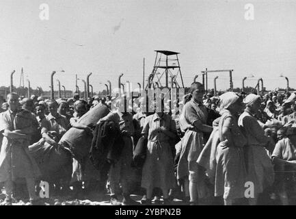 Jüdische Frauen aus Ungarn, die für Zwangsarbeit in Auschwitz ausgewählt wurden, marschieren nach der Desinfektion und Kopfrasur in ihre Kaserne. Die Juden in Ungarn waren ziemlich sicher, bis Hitler aus Angst, Ungarn würde einen Vertrag mit den Alliierten suchen, die Invasion des Landes im März 1944 anordnete. Zwischen dem 15. Mai und dem 9. Juli 1944 wurden über 434.000 Juden mit 147 Zügen deportiert, die meisten nach Auschwitz, wo etwa 80 Prozent bei der Ankunft vergast wurden. Der schnelle Fortschritt der Deportationen wurde durch die enge Zusammenarbeit zwischen den ungarischen und deutschen Behörden ermöglicht. Stockfoto