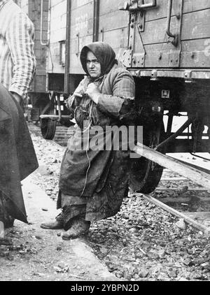 Eine ältere Jüdin lehnt sich gegen den Deportationszug in Auschwitz-Birkenau, während sie darauf wartet, in die Gaskammern gebracht zu werden. Die Juden in Ungarn waren ziemlich sicher, bis Hitler aus Angst, Ungarn würde einen Vertrag mit den Alliierten suchen, die Invasion des Landes im März 1944 anordnete. Zwischen dem 15. Mai und dem 9. Juli 1944 wurden über 434.000 Juden mit 147 Zügen deportiert, die meisten nach Auschwitz, wo etwa 80 Prozent bei der Ankunft vergast wurden. Der schnelle Fortschritt der Deportationen wurde durch die enge Zusammenarbeit zwischen den ungarischen und deutschen Behörden ermöglicht. Stockfoto