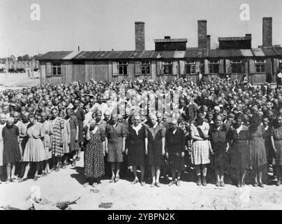 Juden aus Ungarn, die für Zwangsarbeit in Auschwitz ausgewählt wurden, warten darauf, in einen anderen Abschnitt des Lagers gebracht zu werden. Die Juden in Ungarn waren ziemlich sicher, bis Hitler aus Angst, Ungarn würde einen Vertrag mit den Alliierten suchen, die Invasion des Landes im März 1944 anordnete. Zwischen dem 15. Mai und dem 9. Juli 1944 wurden über 434.000 Juden mit 147 Zügen deportiert, die meisten nach Auschwitz, wo etwa 80 Prozent bei der Ankunft vergast wurden. Der schnelle Fortschritt der Deportationen wurde durch die enge Zusammenarbeit zwischen den ungarischen und deutschen Behörden ermöglicht. Stockfoto