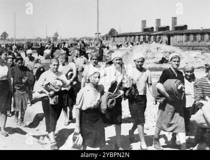 Juden aus Ungarn, die für Zwangsarbeit in Auschwitz ausgewählt wurden, warten darauf, in einen anderen Abschnitt des Lagers gebracht zu werden. Die Juden in Ungarn waren ziemlich sicher, bis Hitler aus Angst, Ungarn würde einen Vertrag mit den Alliierten suchen, die Invasion des Landes im März 1944 anordnete. Zwischen dem 15. Mai und dem 9. Juli 1944 wurden über 434.000 Juden mit 147 Zügen deportiert, die meisten nach Auschwitz, wo etwa 80 Prozent bei der Ankunft vergast wurden. Der schnelle Fortschritt der Deportationen wurde durch die enge Zusammenarbeit zwischen den ungarischen und deutschen Behörden ermöglicht. Stockfoto