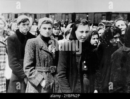 Juden aus Ungarn, die für Zwangsarbeit in Auschwitz ausgewählt wurden, warten darauf, in einen anderen Abschnitt des Lagers gebracht zu werden. Die Juden in Ungarn waren ziemlich sicher, bis Hitler aus Angst, Ungarn würde einen Vertrag mit den Alliierten suchen, die Invasion des Landes im März 1944 anordnete. Zwischen dem 15. Mai und dem 9. Juli 1944 wurden über 434.000 Juden mit 147 Zügen deportiert, die meisten nach Auschwitz, wo etwa 80 Prozent bei der Ankunft vergast wurden. Der schnelle Fortschritt der Deportationen wurde durch die enge Zusammenarbeit zwischen den ungarischen und deutschen Behörden ermöglicht. Stockfoto