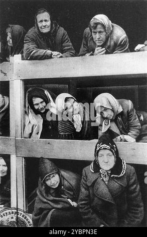 Ehemalige weibliche Gefangene auf den Holzbetten, die als Betten dienten, im Konzentrationslager Auschwitz. Dies ist ein Standbild aus einem sowjetischen Film über die Befreiung von Auschwitz. Stockfoto