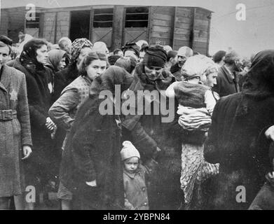 Ein Transport ungarischer Juden wird aus den Zügen genommen und auf der Rampe in Auschwitz montiert. Die Juden in Ungarn waren ziemlich sicher, bis Hitler aus Angst, Ungarn würde einen Vertrag mit den Alliierten suchen, die Invasion des Landes im März 1944 anordnete. Zwischen dem 15. Mai und dem 9. Juli 1944 wurden über 434.000 Juden mit 147 Zügen deportiert, die meisten nach Auschwitz, wo etwa 80 Prozent bei der Ankunft vergast wurden. Der schnelle Fortschritt der Deportationen wurde durch die enge Zusammenarbeit zwischen den ungarischen und deutschen Behörden ermöglicht. Stockfoto