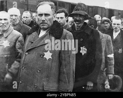 Ungarische Juden warten auf die Auswahl auf der Rampe in Auschwitz. Die Juden in Ungarn waren ziemlich sicher, bis Hitler aus Angst, Ungarn würde einen Vertrag mit den Alliierten suchen, die Invasion des Landes im März 1944 anordnete. Zwischen dem 15. Mai und dem 9. Juli 1944 wurden über 434.000 Juden mit 147 Zügen deportiert, die meisten nach Auschwitz, wo etwa 80 Prozent bei der Ankunft vergast wurden. Der schnelle Fortschritt der Deportationen wurde durch die enge Zusammenarbeit zwischen den ungarischen und deutschen Behörden ermöglicht. Stockfoto