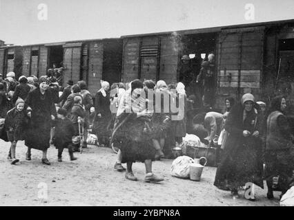 Ein Transport ungarischer Juden wird aus den Zügen genommen und auf der Rampe in Auschwitz montiert. Die Juden in Ungarn waren ziemlich sicher, bis Hitler aus Angst, Ungarn würde einen Vertrag mit den Alliierten suchen, die Invasion des Landes im März 1944 anordnete. Zwischen dem 15. Mai und dem 9. Juli 1944 wurden über 434.000 Juden mit 147 Zügen deportiert, die meisten nach Auschwitz, wo etwa 80 Prozent bei der Ankunft vergast wurden. Der schnelle Fortschritt der Deportationen wurde durch die enge Zusammenarbeit zwischen den ungarischen und deutschen Behörden ermöglicht. Stockfoto