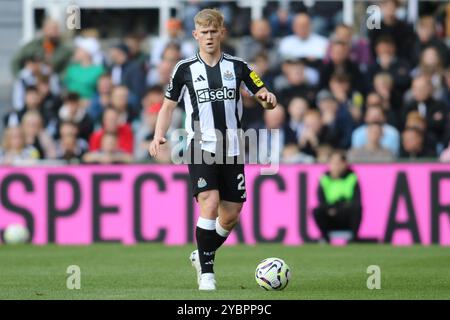Newcastle United's Lewis Hall während des Premier League-Spiels zwischen Newcastle United und Brighton und Hove Albion im St. James's Park, Newcastle am Samstag, den 19. Oktober 2024. (Foto: Michael Driver | MI News) Credit: MI News & Sport /Alamy Live News Stockfoto