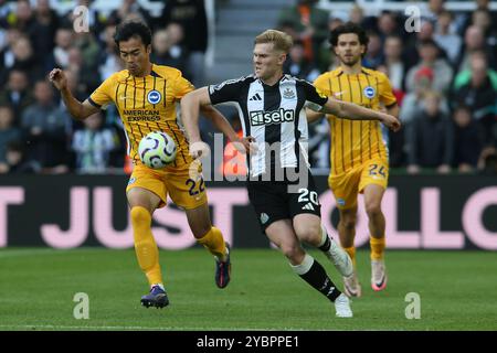 Kaoru Mitoma von Brighton und Hove Albion nimmt am Samstag, den 19. Oktober 2024, in der Lewis Hall von Newcastle United gegen Brighton United und Hove Albion in St. James's Park in Newcastle auf. (Foto: Michael Driver | MI News) Credit: MI News & Sport /Alamy Live News Stockfoto