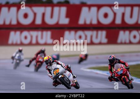 Melbourne, Australien. Oktober 2024. Moto3-Fahrer während des Trainings bei der australischen MotoGP 2024 auf dem Phillip Island Grand Prix Circuit. Quelle: Santanu Banik/Alamy Live News Stockfoto