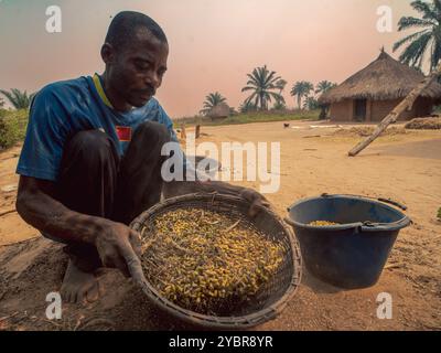 République Démocratique du Congo, Tshikenda, 24.08.2023. Kabuayi Bomba, Agriculteur du Kasai Central, fait le vannage de ses haricots dans un van dans Stockfoto