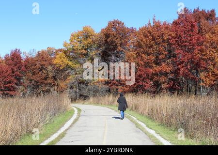 Woman Walking auf dem North Branch Trail im Herbst in Miami Woods in Morton Grove, Illinois, mit Herbstfarben Stockfoto