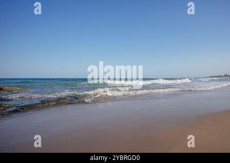 Surfwellen brechen entlang des Strandes südlich von Point Cartwright, Buddina, Sunshine Coast, Queensland, Australien, ein sehr beliebtes Urlaubs- und Touristenviertel Stockfoto