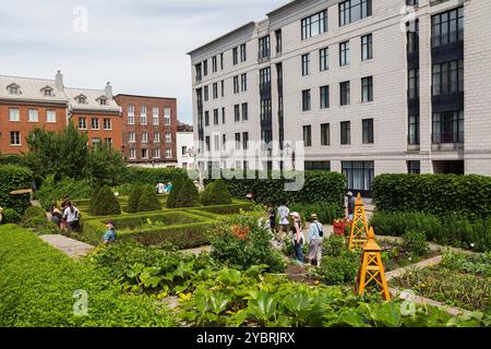 Touristen und Besucher, die im späten Frühjahr über die geteilten Pflanzen- und Gemüsegärten des Gouverneurs hinter dem Chateau Ramezay in Old Montreal spazieren gehen. Stockfoto