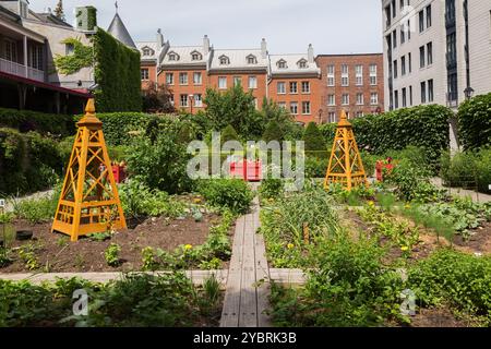 Die vom Gouverneur geteilten Pflanzen- und Gemüsegärten hinter dem Chateau Ramezay, teilweise bedeckt mit Vitis-Reben im späten Frühjahr, Old Montreal. Stockfoto