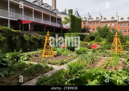 Die vom Gouverneur geteilten Pflanzen- und Gemüsegärten hinter dem Chateau Ramezay, teilweise bedeckt mit Vitis-Reben im späten Frühjahr, Old Montreal. Stockfoto