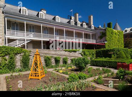 Mehrjährige Pflanzen auf geteilten Gemüseflächen in Governor's Plants und Gemüsegarten hinter Chateau Ramezay, teilweise mit Kletterweben bedeckt. Stockfoto