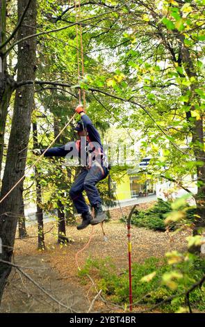 Aborist in der Höhe bei der Baumpflege und beim Baumschnitt Aborist in der Höhe bei der Baumpflege Stockfoto