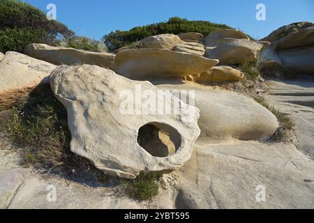 Erodierte Felsformationen an einer Küste mit Pflanzen und klarem Himmel im Hintergrund, Karidi Strand, Karydi, Vourvourou, Sithonia, Chalkidiki, Central Mace Stockfoto