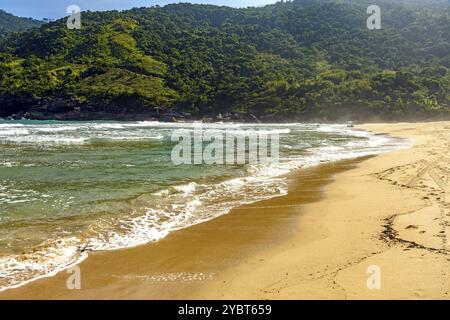 Hügel und Wald am Strand von Bonete auf der Insel Ilhabela in Sao Paulo Stockfoto