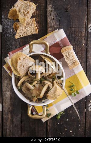 Präsentation Markup von Pilzsuppe in Pioppini auf schwarzem Tisch Stockfoto