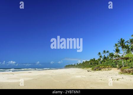 Atemberaubender Sargi-Strand umgeben vom Meer und Kokospalmen in Serra Grande an der Küste von Bahia Stockfoto