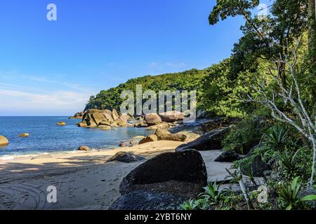 Wald, Hügel, Felsen und Meer von Indaiauba Strand in Ilhabela Insel Küste os Sao Paulo Stockfoto