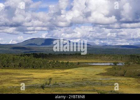 Weitblick über das schwedische Hochplateau Flatruet in Die schwedische Provinz Jamtland in der Nähe der norwegischen Grenze Stockfoto