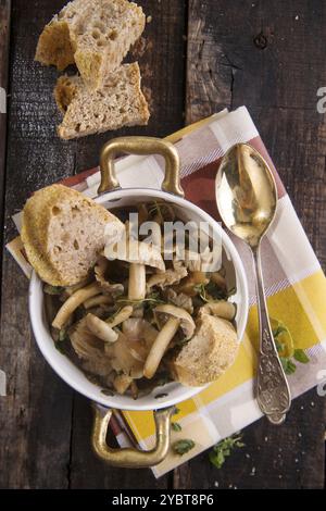 Präsentation Markup von Pilzsuppe in Pioppini auf schwarzem Tisch Stockfoto