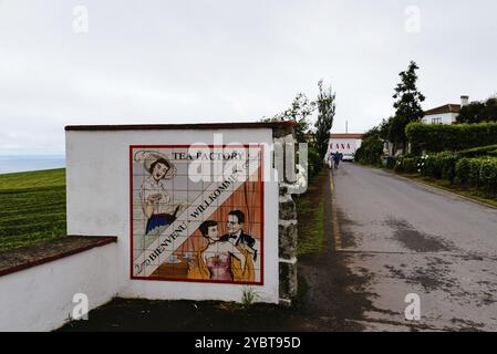 Ponta Delgada, Portugal, 5. Juli 20223: Gorreana Tea Factory. Es ist die älteste Teeplantage Europas. Sao Miguel Island, Azoren, Europa Stockfoto