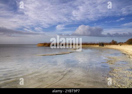 Blick über den IJsselmeer von der Mirnser Klippe bei Rijs in der niederländischen Provinz Friesland Stockfoto