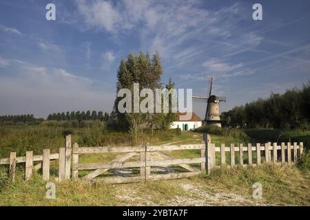 Die Kilsdonkse WindmühleDie Kilsdonkse Mühle am Fluss Brabantse AA in der Nähe des niederländischen Dorfes Dinther ist eine einzigartige Kombination aus Windmühle und Wassermühle Stockfoto