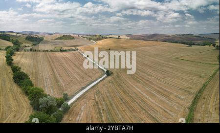 Von Zypressen gesäumte Straße, die zu einem Bauernhaus führt. Toskana, Italien, Europa Stockfoto