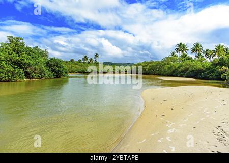 Fluss mit grünem Wasser, der durch die Mangrovenvegetation und den Regenwald in Serra Grande im Bundesstaat Bahia fließt Stockfoto