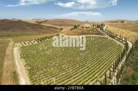 Toskanische Landschaft auf einer Straße von Zypressen in der Nähe von San Quirico d Orcia, Italien, Europa Stockfoto