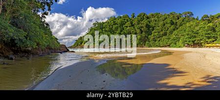 Panoramablick auf den Strand von Ribeira, umgeben von Regenwald und mit dem Fluss, der ins Meer fließt in Itacare an der Südküste von Bahia Stockfoto