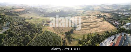 Toskanische Landschaft auf einer Straße von Zypressen in der Nähe von San Quirico d Orcia, Italien, Europa Stockfoto