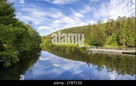 Blick auf einen See im Spiesswoogtal in der Nähe des deutschen Dorfes Fischbach bei Dahn in Rheinland-Pfalz Stockfoto