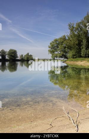 Zweig auf einem Strand eines großen Teiches in den Auen des Flusses Waal Stockfoto