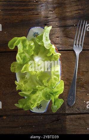 Präsentation eines frischen grünen Salats als Beilage Stockfoto