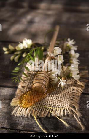 Präsentation von kleinen Holzlöffel mit Akazienhonig mit Blume Stockfoto