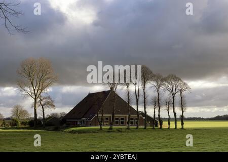 Bauernhaus umgeben von einer Wiese in der Nähe des niederländischen Dorfes Cornjum in der Nähe der friesischen Hauptstadt Leeuwarden Stockfoto