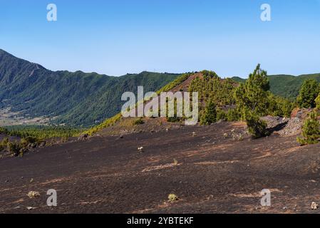 Nationalpark Caldera de Taburiente vom Astronomischen Aussichtspunkt Llano del Jable, Cumbre Vieja Vulkan. Vulkanische Landschaft mit kanarischen Kiefern Stockfoto