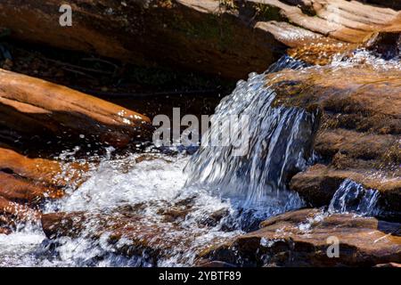 Wasser fließt über die Felsen und bildet einen kleinen Wasserfall aus klarem, transparentem Wasser Stockfoto