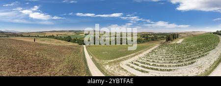 Toskanische Landschaft auf einer Straße von Zypressen in der Nähe von San Quirico d Orcia, Italien, Europa Stockfoto