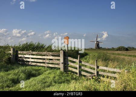 Naturgebiet Donkse Laagten in der niederländischen Region Alblasserwaard mit der Windmühle Broekmolen im Hintergrund Stockfoto